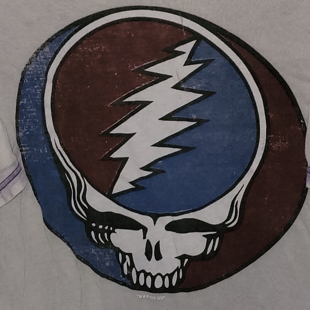 Grateful Dead "Steal Your Face" |BurnoutTee|UltraSoft Semi-Sheer|Graphic T-Shirt - Picture 2 of 8